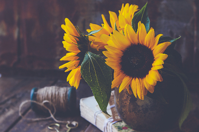 信賴巴彥淖爾武漢助孕費用及染整行業解析